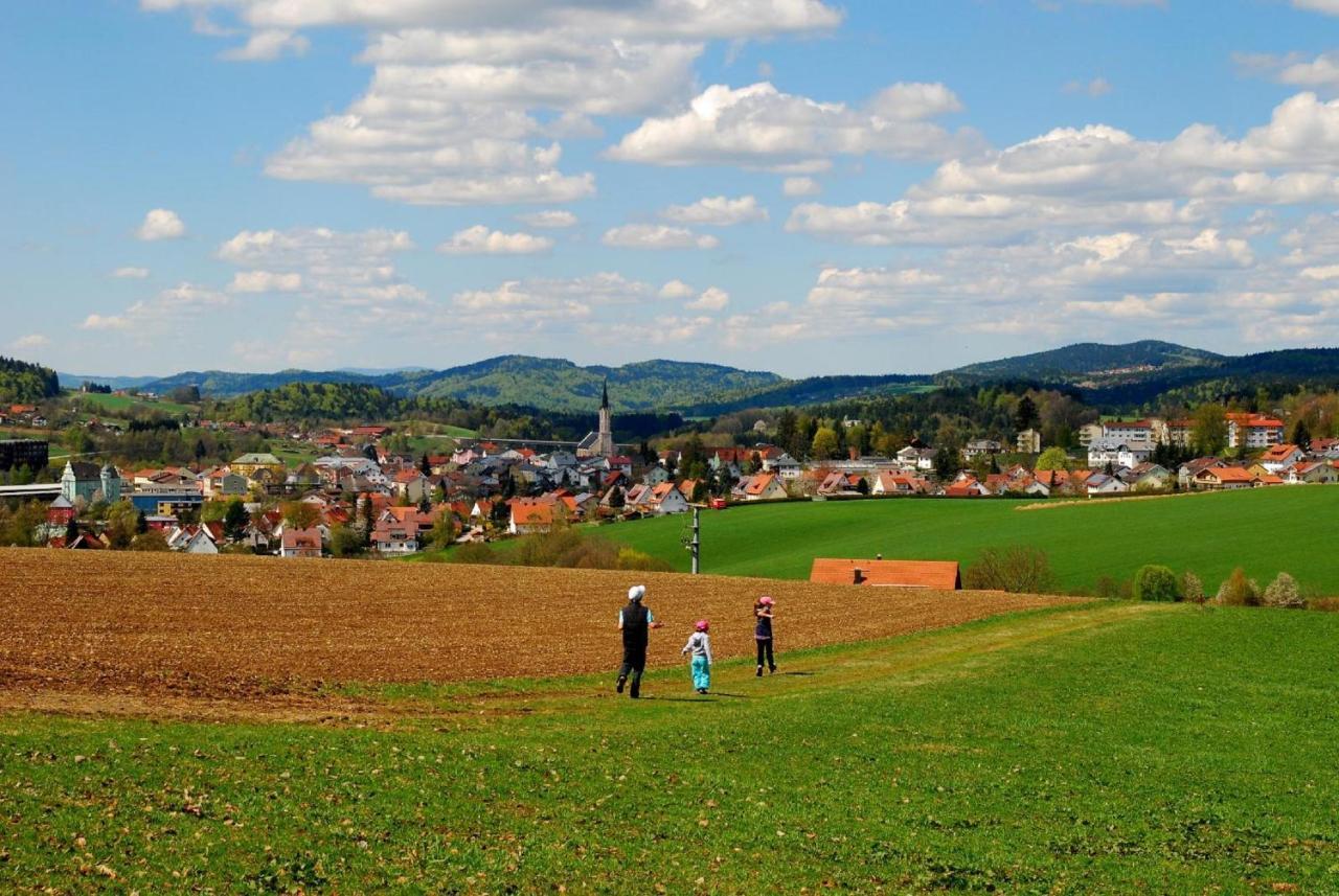 Appartement Geyersberg Inklusive Aktivcard Bayerischer Wald